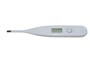 thermometre digitale